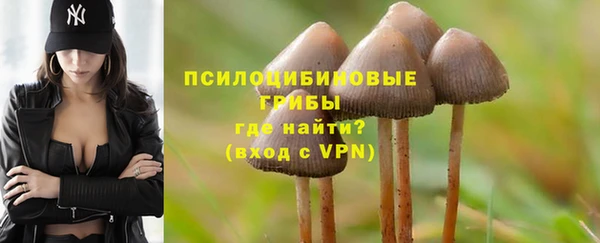 МДМА Горняк